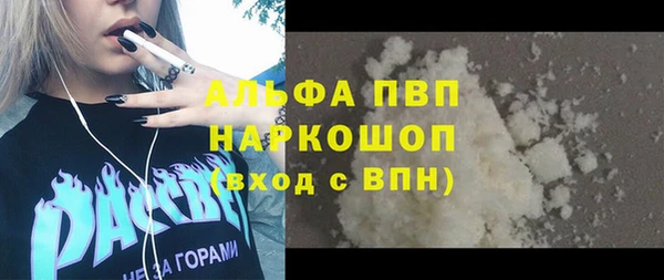 трава Белокуриха