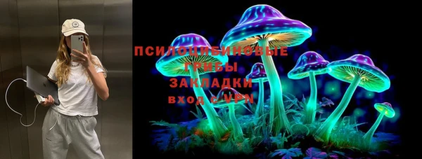 трава Белокуриха