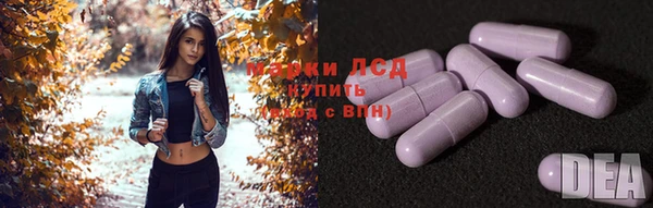 трава Белокуриха