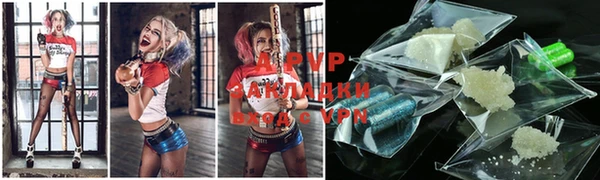 трава Белокуриха